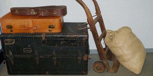 Kürbisausstellung im egapark Erfurt 2025: Wenn Musik auf 50.000 Kürbisse trifft