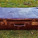 Kraftquelle Hochsteiermark – wo der Wald erdet und Bike- & Wandererlebnisse berühren